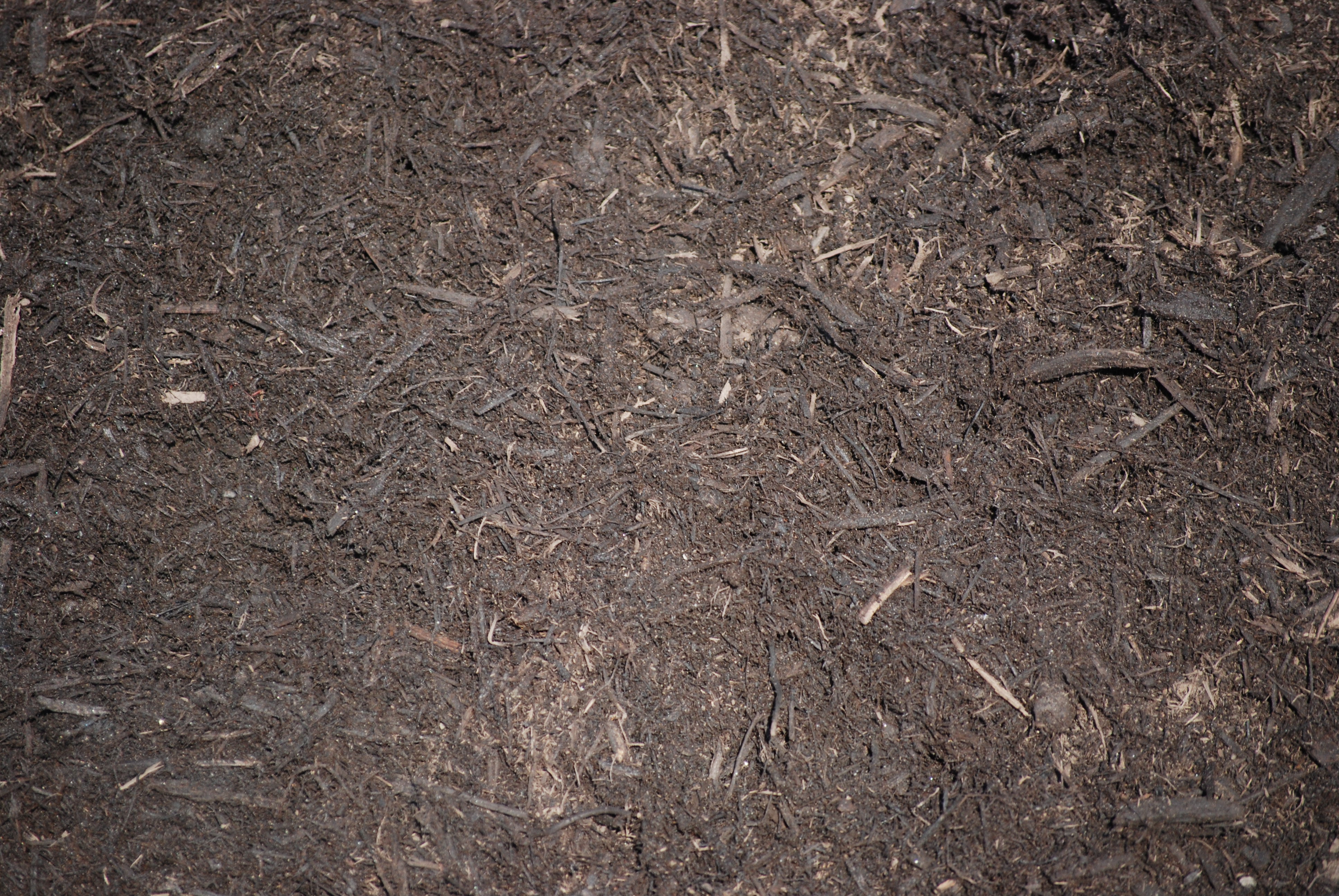 RELS Fall Mulch Sale Frederick & Silver Spring, MD