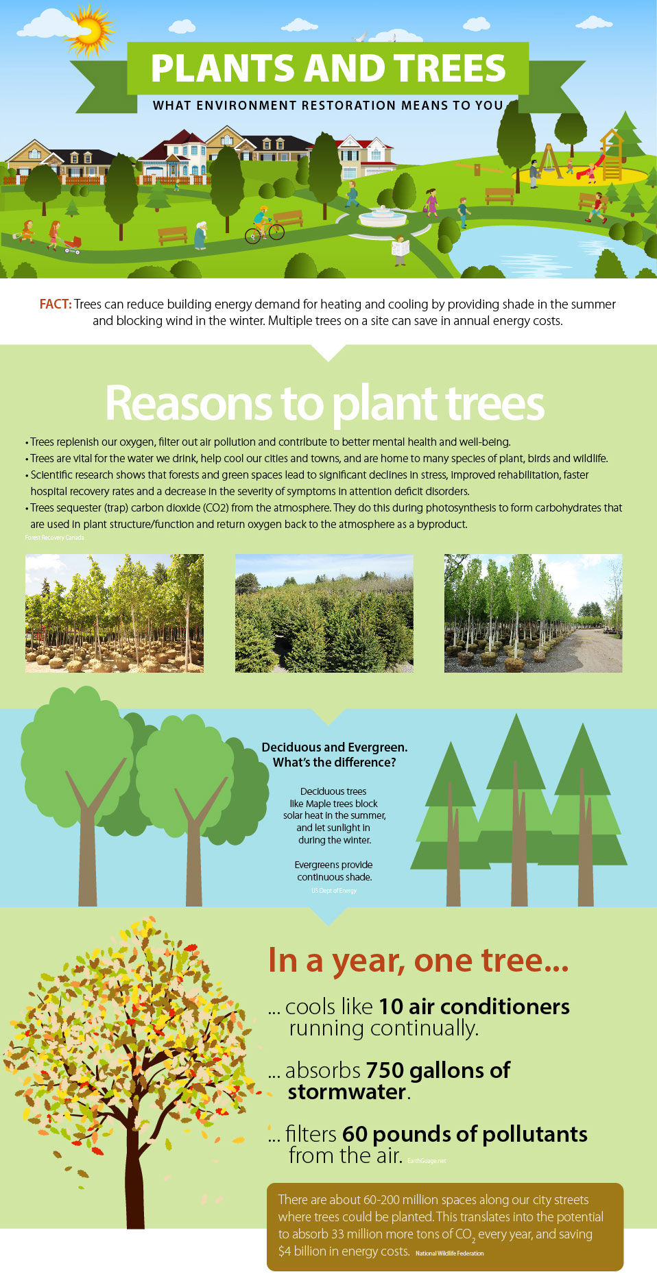 Plants & Trees | Environmental Restoration Infographic