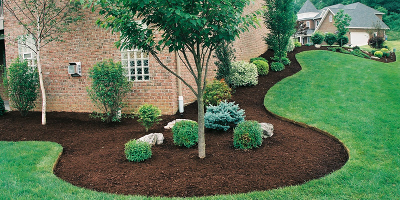 house landscaping