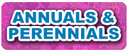 annuals-perennials-btn