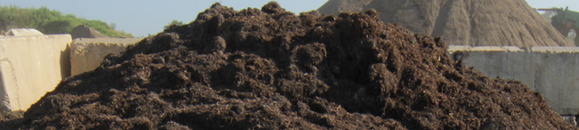 mushroom soil frederick maryland