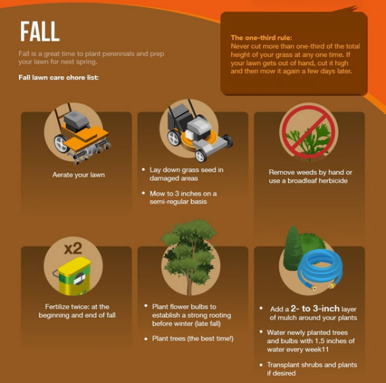 Fall Landscaping Tips Infographic | RELS Landscaping
