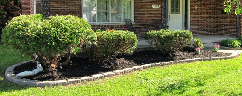 mulch and plant bed