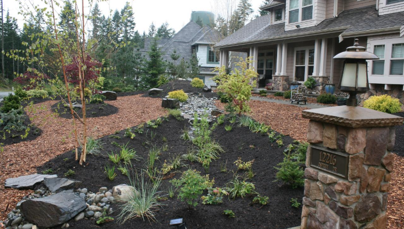 raingarden surrounded by mulch