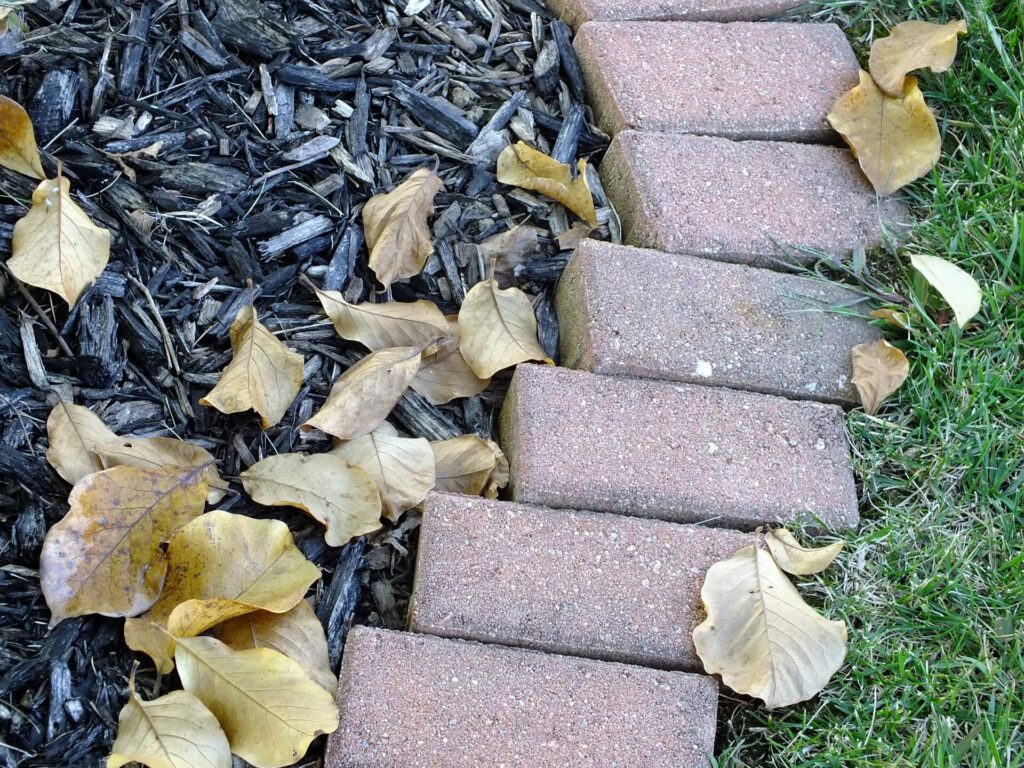 Why You Should Mulch Gardens in the Fall? The Pros Advice