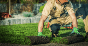 landscaping contractor rolling out grass