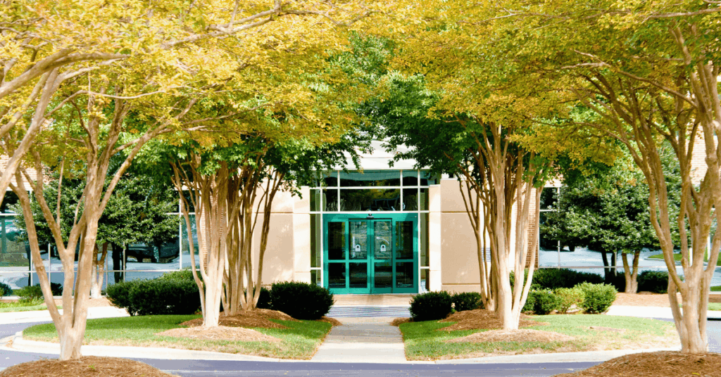 commercial landscape with a need for fall comercial landscaping