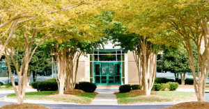 commercial landscape with a need for fall comercial landscaping