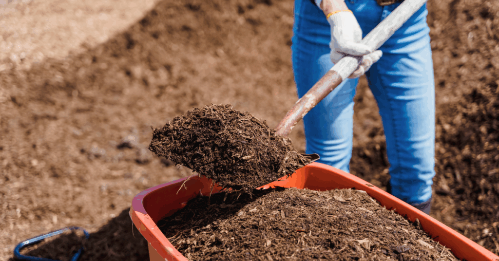 landscaper filling wheelbarrow with mulch
