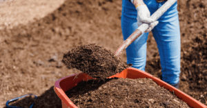 landscaper filling wheelbarrow with mulch