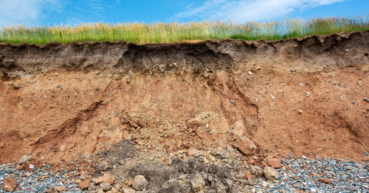 Looking up at a hill worn by erosion.