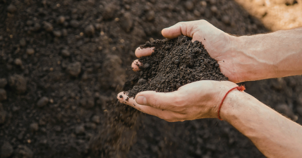 Hands holding a mound of bulk topsoil