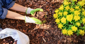Woman placing mulch around her flowers
