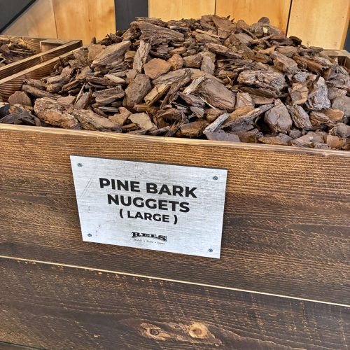 Bulk Pine Nuggets