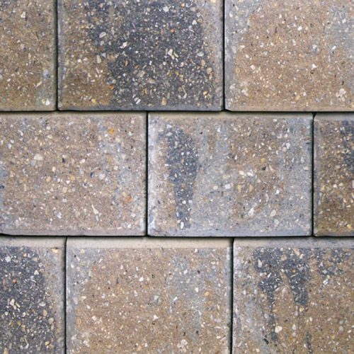 Concord Wall Wedge Cap - Almond Grove