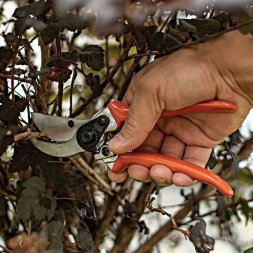Leonard Contractor-Grade Bypass Pruners
