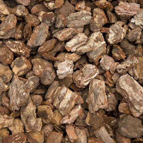 Pine Nuggets by RELS