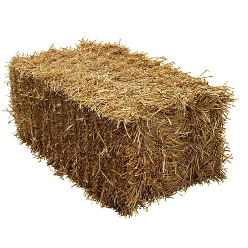 Bale Of Hay